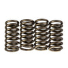 PREMIER CLUTCH SPRINGS - HEAVY DUTY