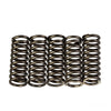 PREMIER CLUTCH SPRINGS - HEAVY DUTY