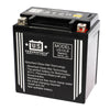 USPS AGM BATTERY US10LB YB10L-B *6